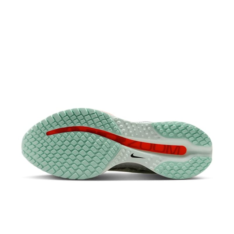 Nike Pegasus Premium HQ2592-301 02