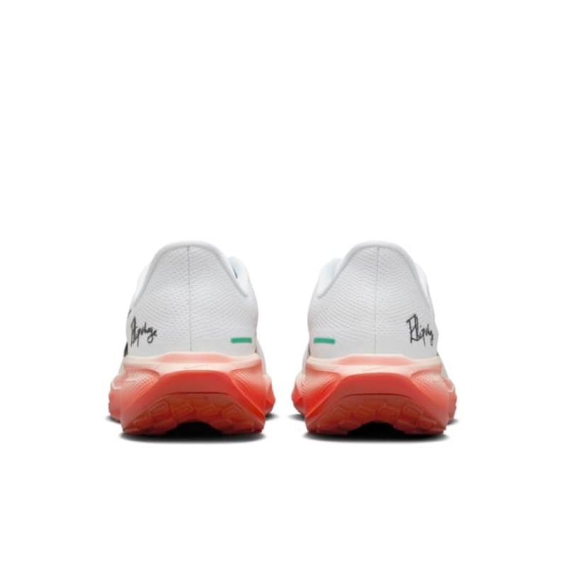 Nike Pegasus 41 HJ7037-100 06