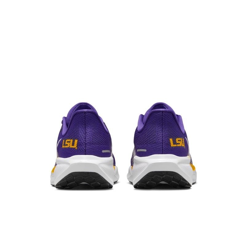 Nike Pegasus 41 IB3248-500 06