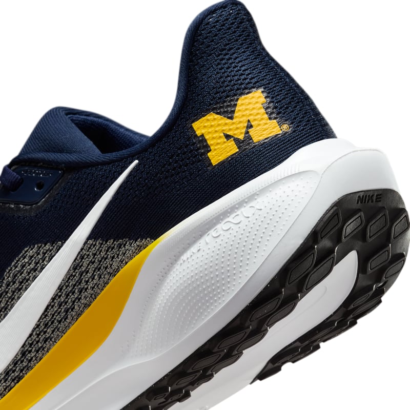 Nike Pegasus 41 IB3269-400 08