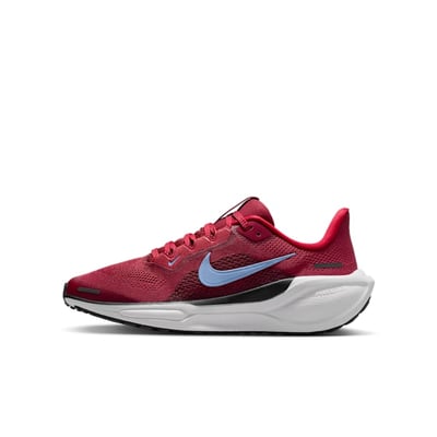 Nike Pegasus 41 FN5041-602