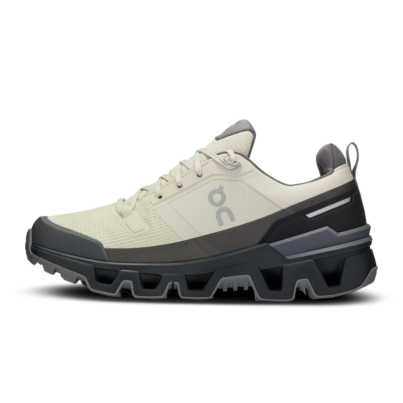 On Cloudwander Waterproof 73.97667 04