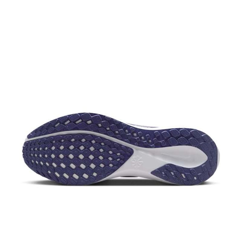 Nike Pegasus 41 FZ5108-500 02