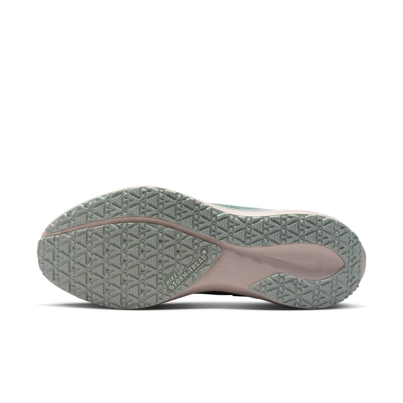 Nike Pegasus 41 GORE-TEX FQ1356-007 02