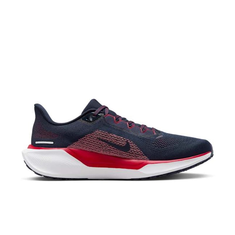 Nike Pegasus 41 x NFL FZ5098-400 03