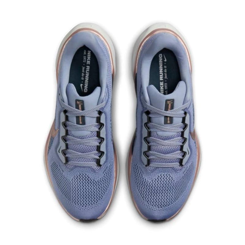 Nike Pegasus 41 FD2723-403 04