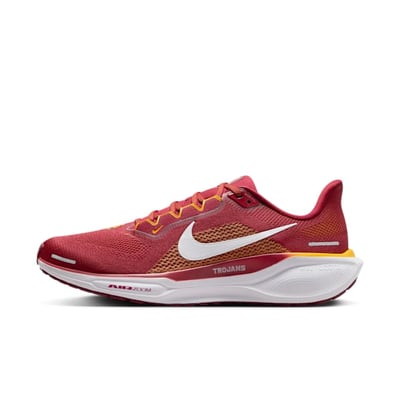 Nike Pegasus 41 FZ5150-600