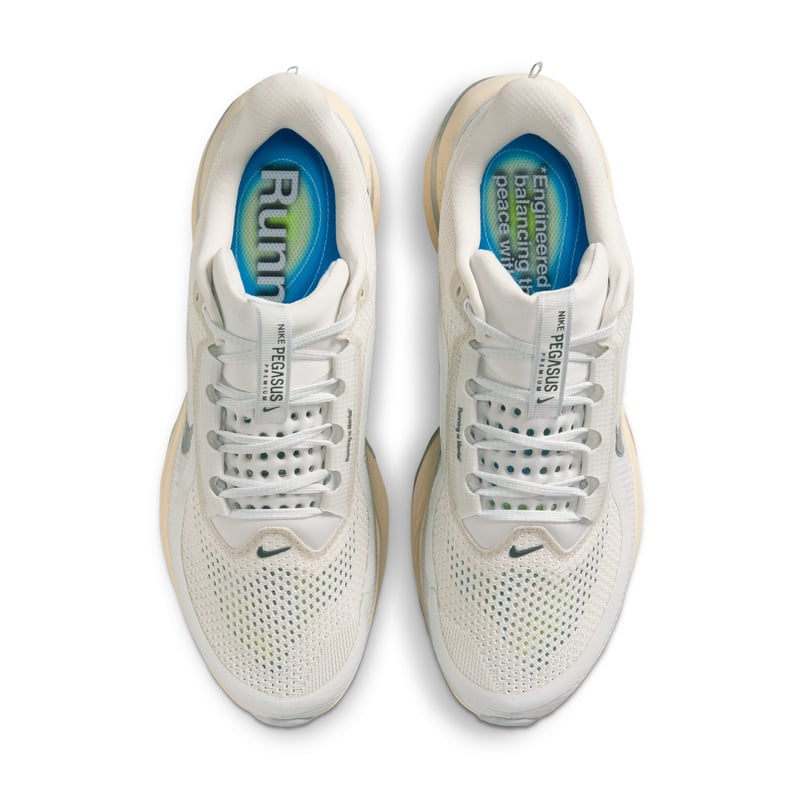 Nike Pegasus Premium IQ0307-094 04