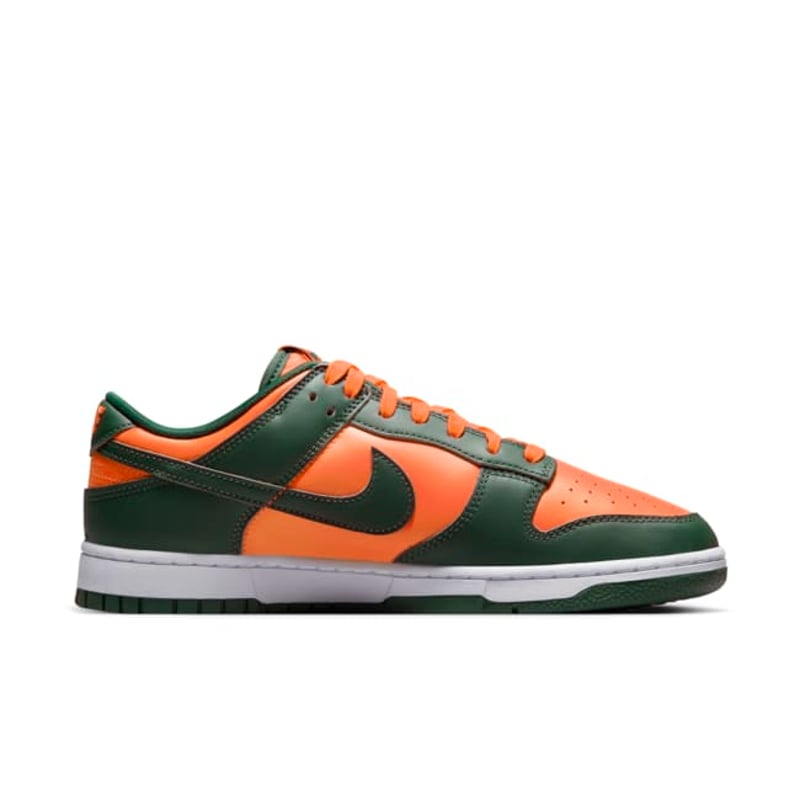 Nike Dunk Low Retro DD1391-300 03