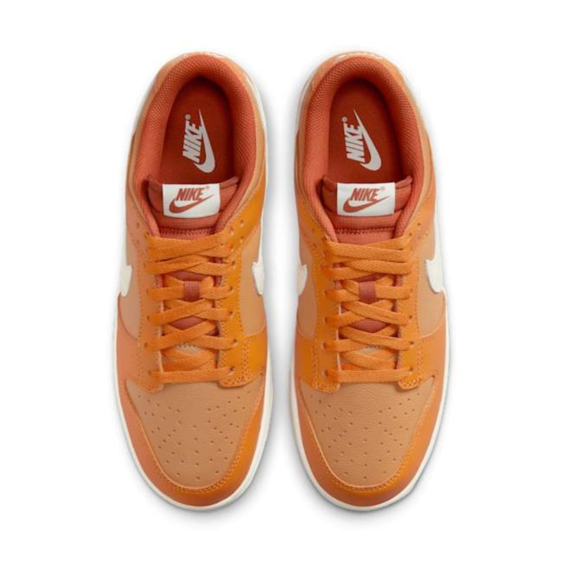 Nike Dunk Low Retro SE HJ9121-815 04