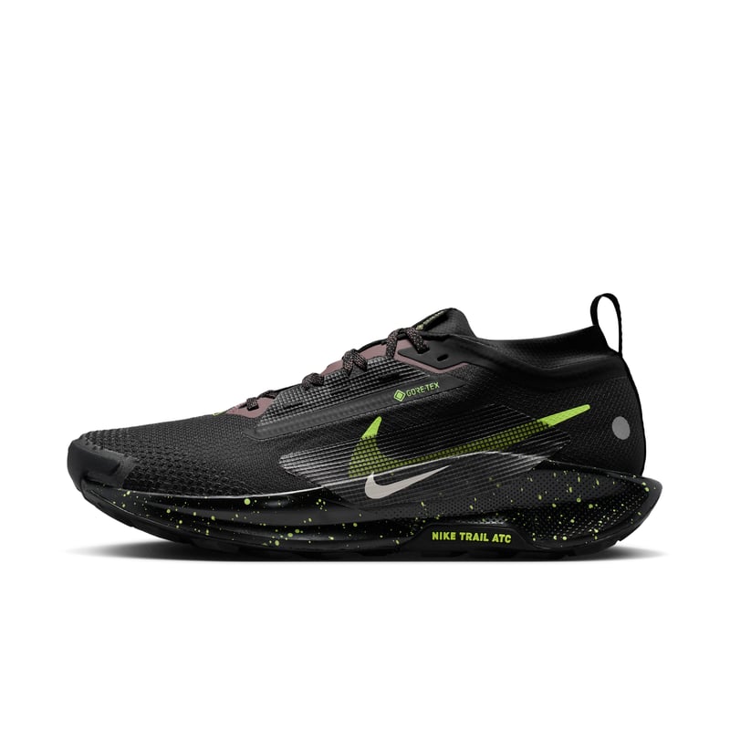 Nike Pegasus Trail 5 GORE-TEX FQ0908-014 01
