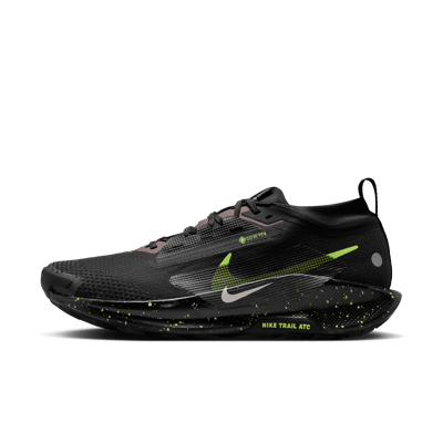 Nike Pegasus Trail 5 GORE-TEX FQ0908-014 01