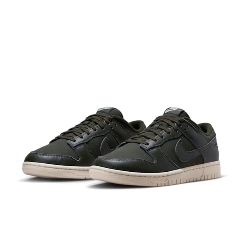 Nike Dunk Low Retro Premium DZ2538-300 05