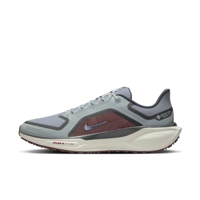 Nike Pegasus 41 GORE-TEX FQ1356-003