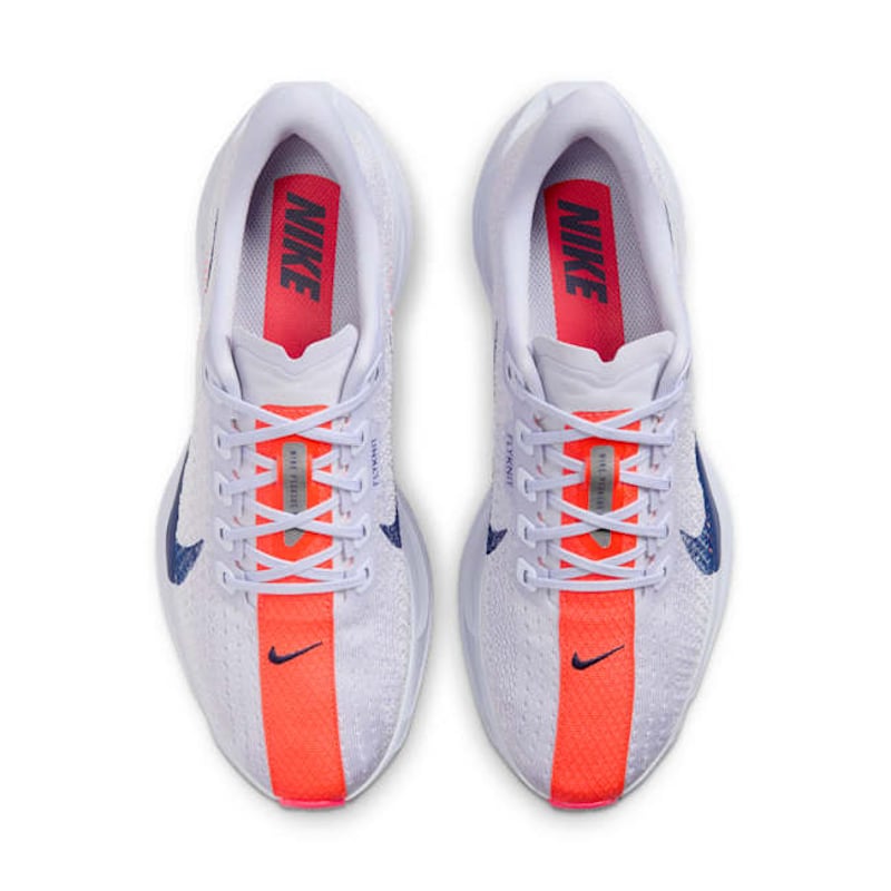 Nike Pegasus Plus FQ7261-005 04