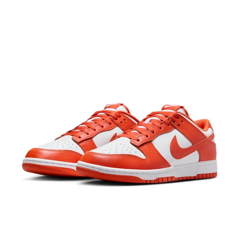 Nike Dunk Low DV0833-114 05