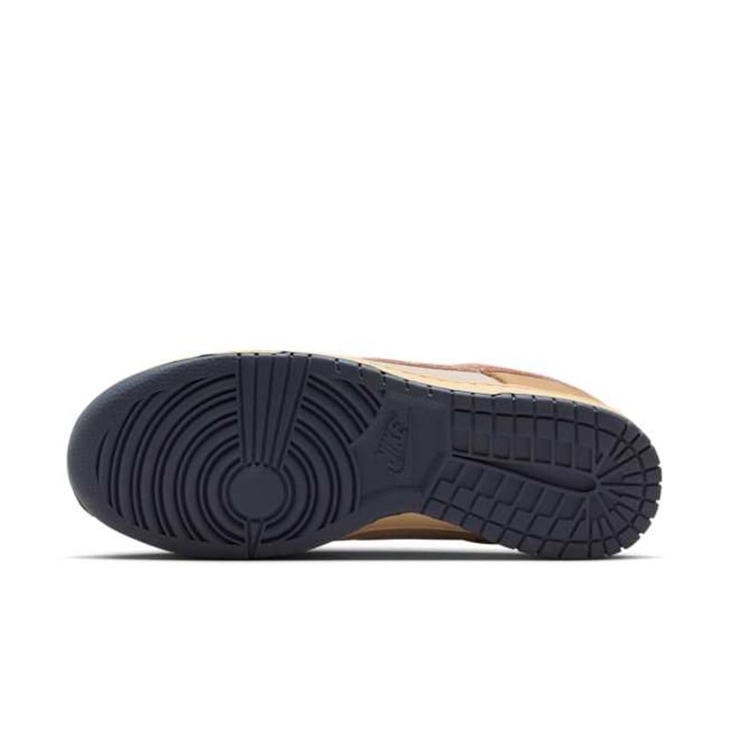 Nike Dunk Low Retro SE HQ3640-790 02