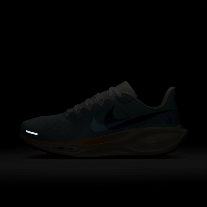 Nike Pegasus 41 IH7348-441 09