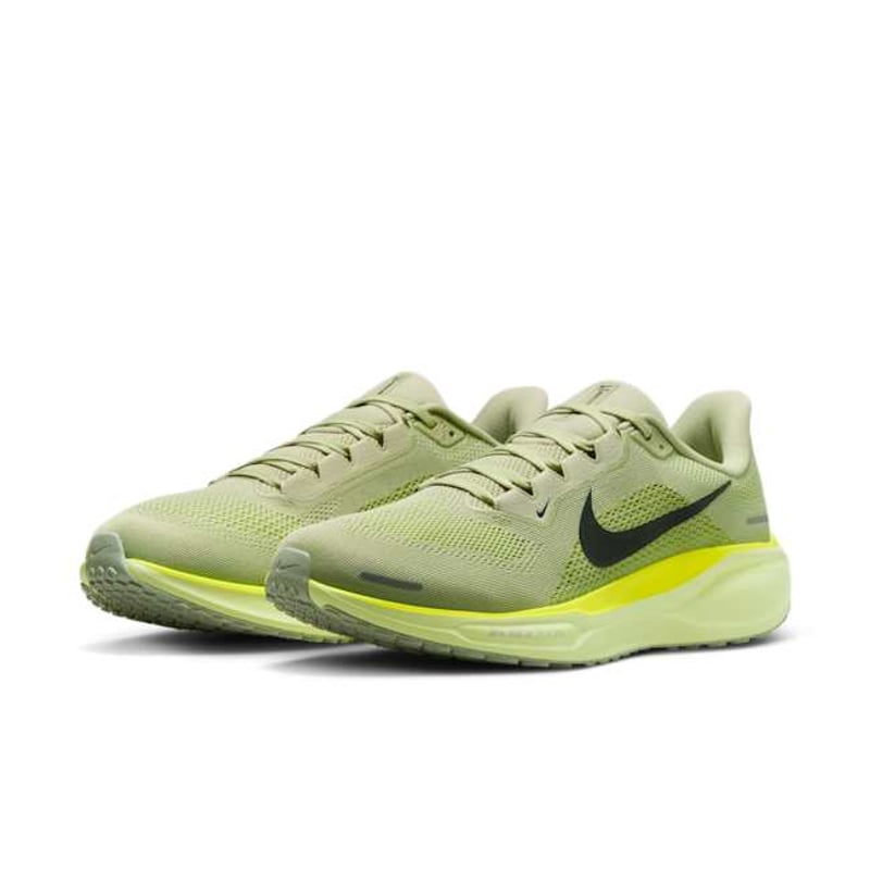 Nike Pegasus 41 FD2722-303 05