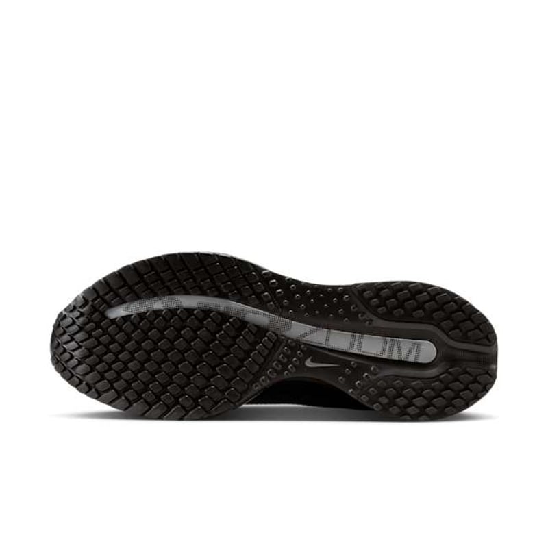 Nike Pegasus Premium HQ2593-004 02