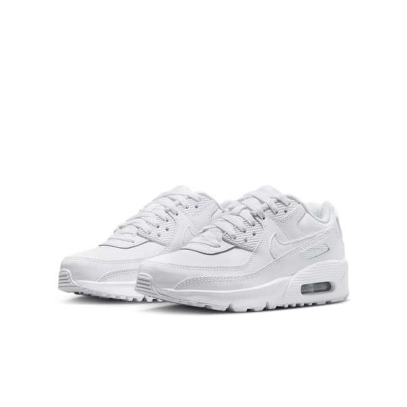 Nike Air Max 90 LTR CD6864-133 05