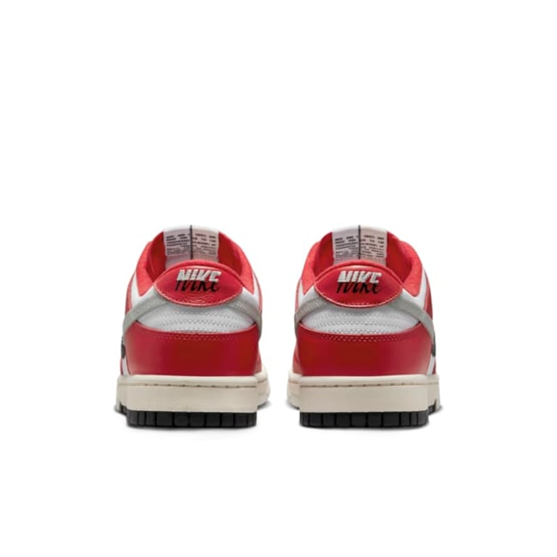 Nike Dunk Low Retro Premium DZ2536-600 06