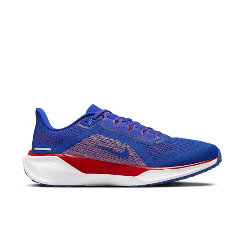 Nike Pegasus 41 x NFL FZ5074-400 03