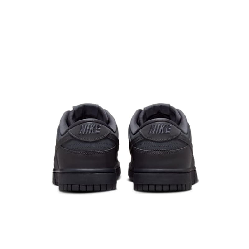 Nike Dunk Low FZ3781-060 06