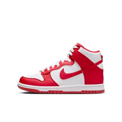 Nike Dunk High DB2179-115
