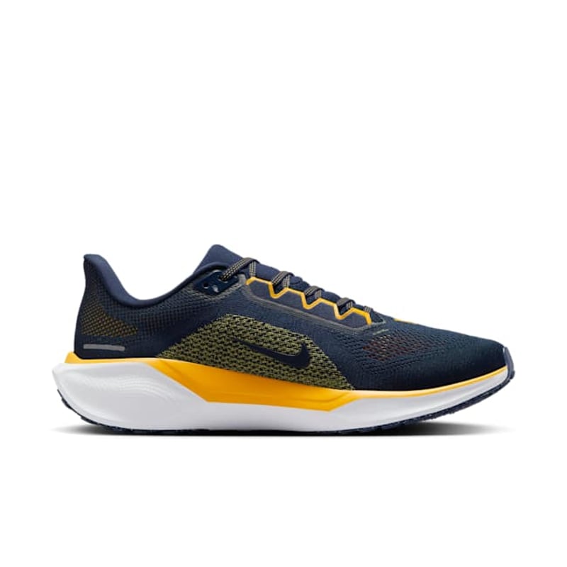 Nike Pegasus 41 FZ5153-400 03