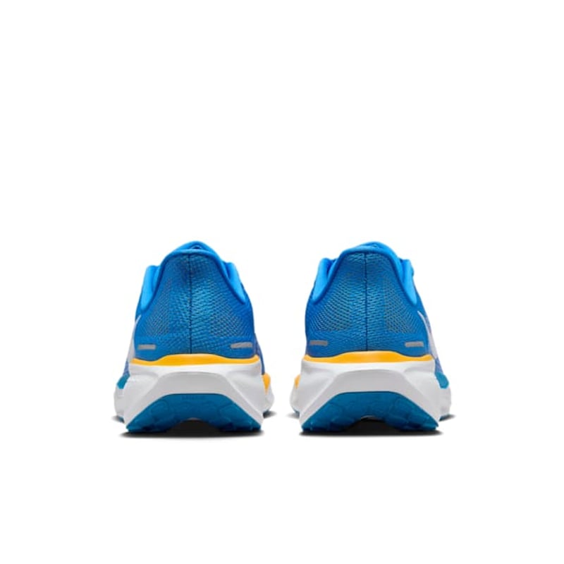 Nike Pegasus 41 FZ5148-400 06