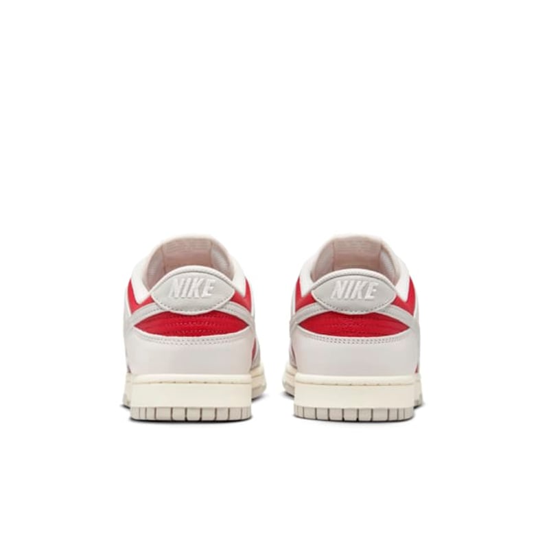 Nike Dunk Low Retro HJ9093-030 06