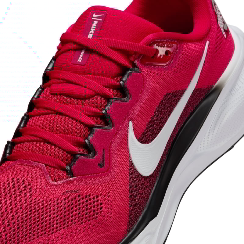 Nike Pegasus 41 IB3254-600 07