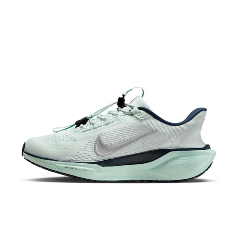 Nike Pegasus EasyOn FQ7844-400 01