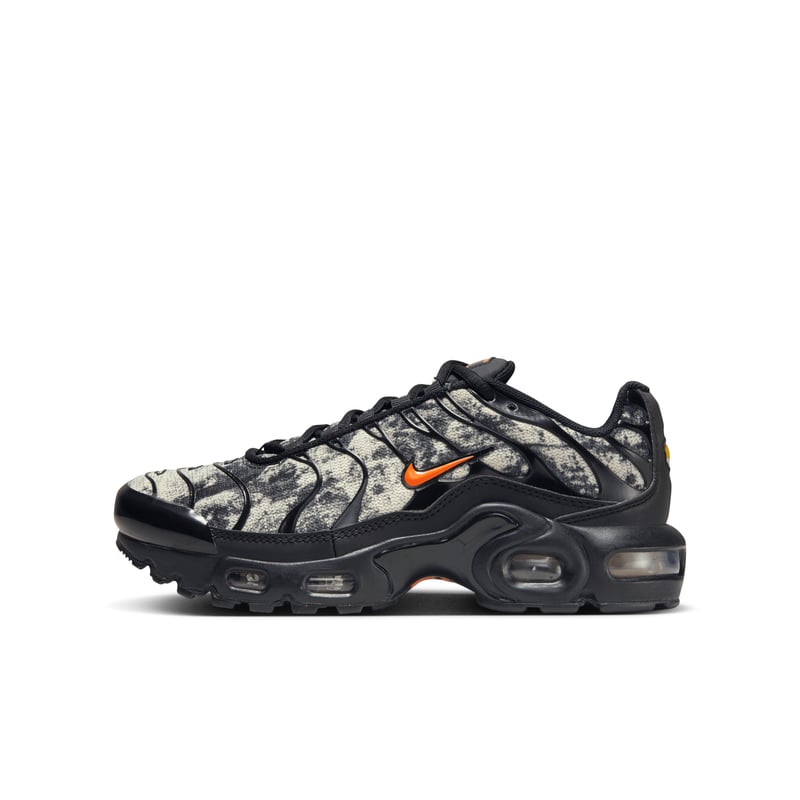 Nike Air Max Plus FV6915-001 01