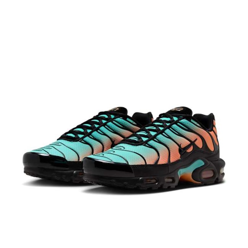 Nike Air Max Plus DM0032-022 05