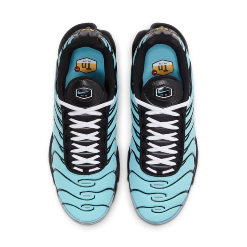 Nike Air Max Plus CV8838-400 04