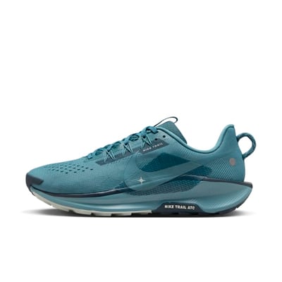 Nike Pegasus Trail 5 DV3864-005
