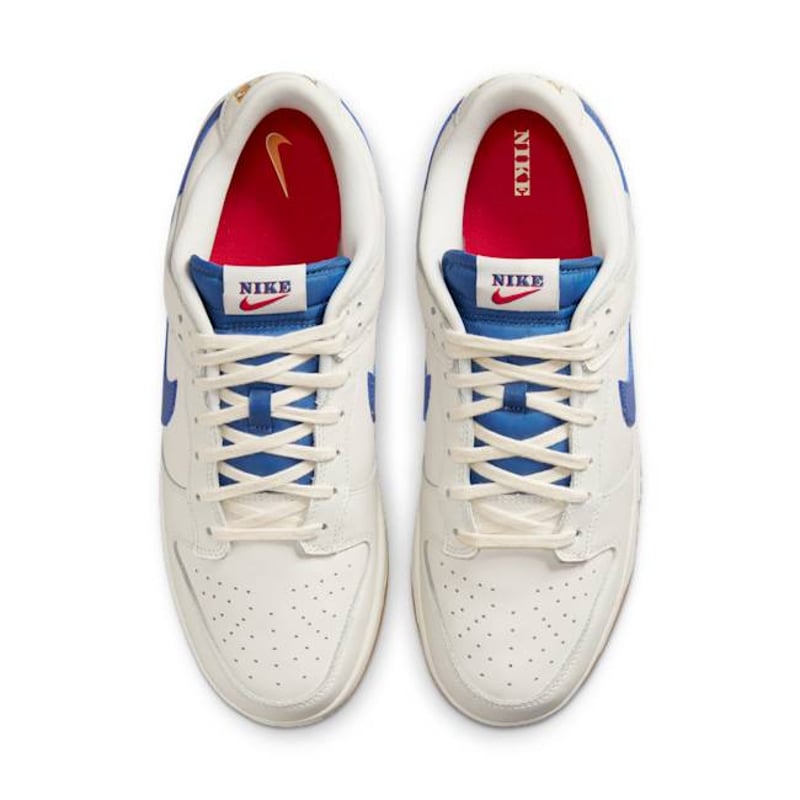 Nike Dunk Low SE DX3198-133 04