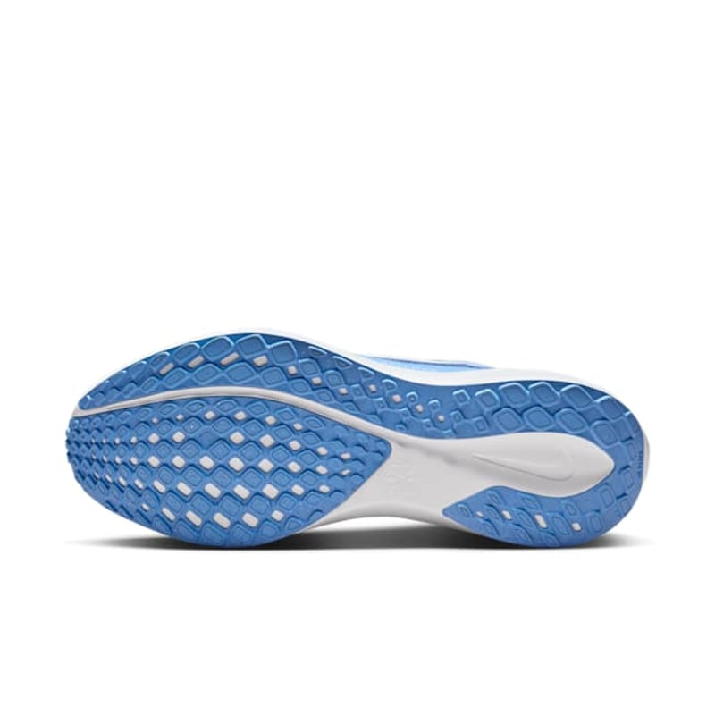 Nike Pegasus 41 FZ5141-400 02
