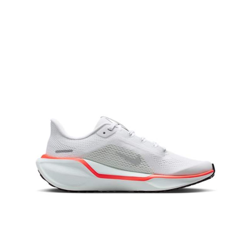 Nike Pegasus 41 FN5041-108 03