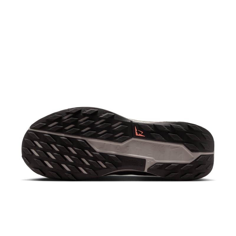 Nike Pegasus Trail 5 DV3864-202 02