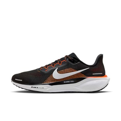 Nike Pegasus 41 FZ5136-001