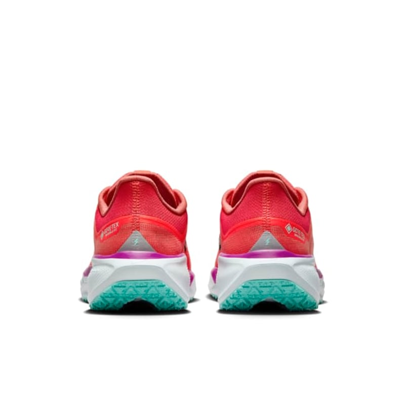 Nike Pegasus 41 GORE-TEX HM8872-600 06