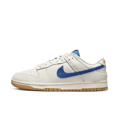 Nike Dunk Low SE DX3198-133