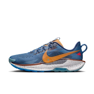 Nike Pegasus Trail 5 DV3864-400