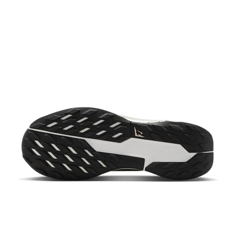 Nike Pegasus Trail 5 GORE-TEX FQ0912-008 02