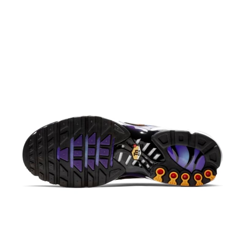 Nike Air Max Plus BQ4629-002 02