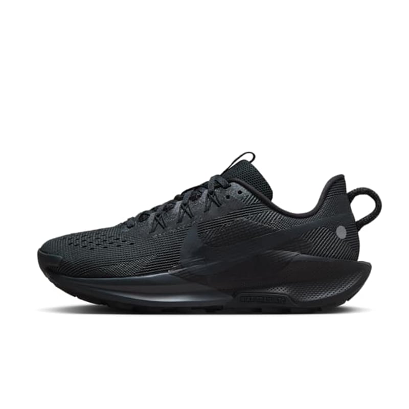 Nike Pegasus Trail 5 DV3865-005 01
