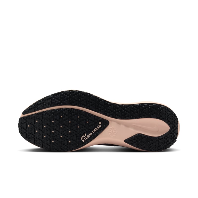 Nike Pegasus 41 GORE-TEX FQ1357-004 02